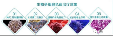生物多细胞免疫治疗效果