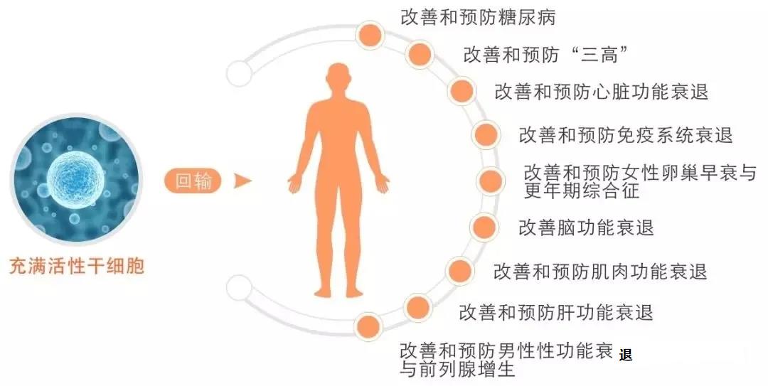 干细胞能治疗的疾病
