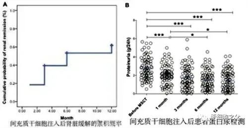 间充质干细胞治疗肾脏疾病的临床研究数据