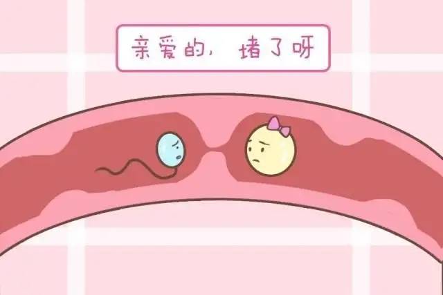 高血压吃什么药最好