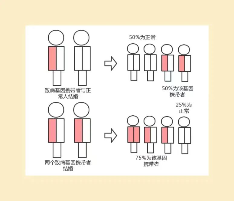 强直性脊柱炎是否遗传下一代