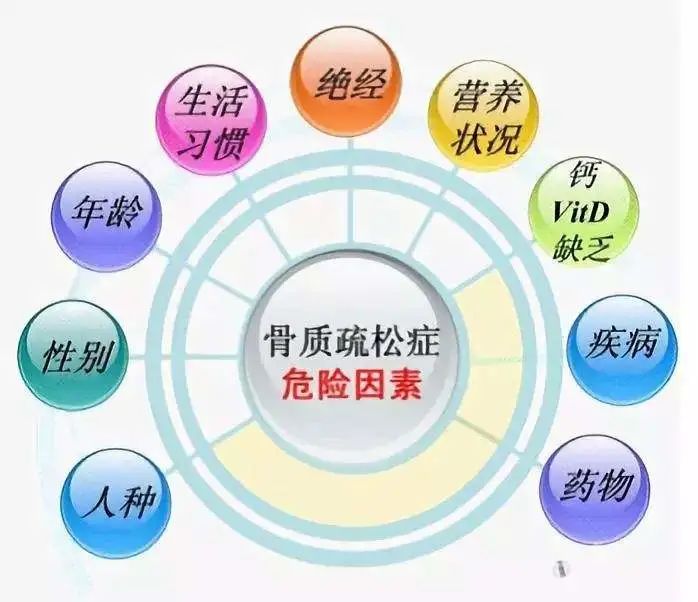 骨质疏松的症状、怎么调理、食补食疗及吃什么中药好