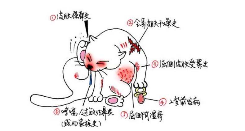 特应性皮炎如何确诊