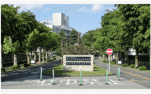 日本QST医院