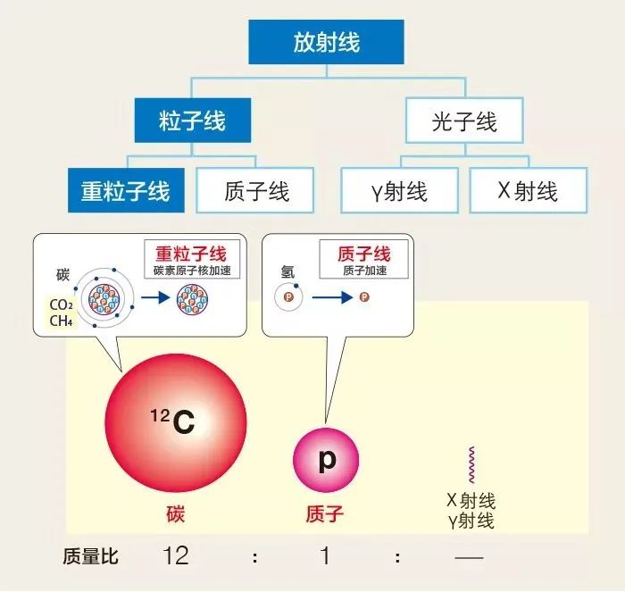 质子可以治疗哪些肿瘤