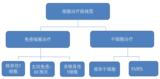 细胞治疗是什么意思