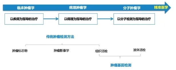 肿瘤基因检测怎么做