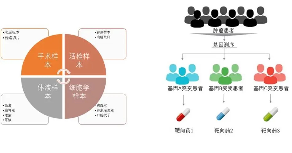 肿瘤基因检测多少钱一次