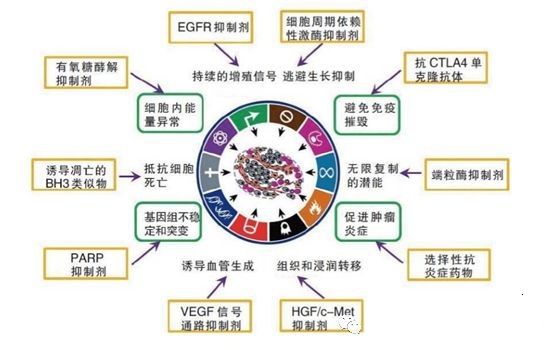 引起癌症的基因突变