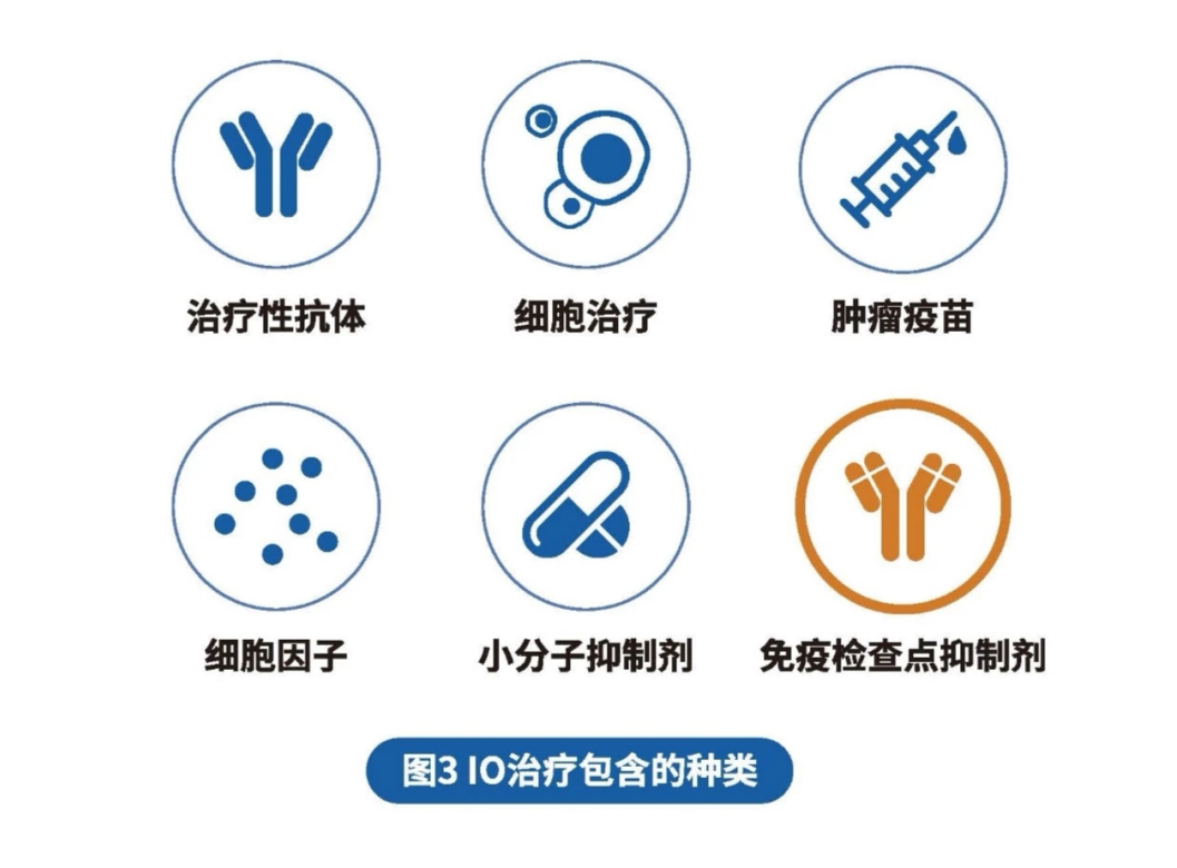 免疫治疗的种类