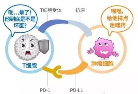 免疫治疗