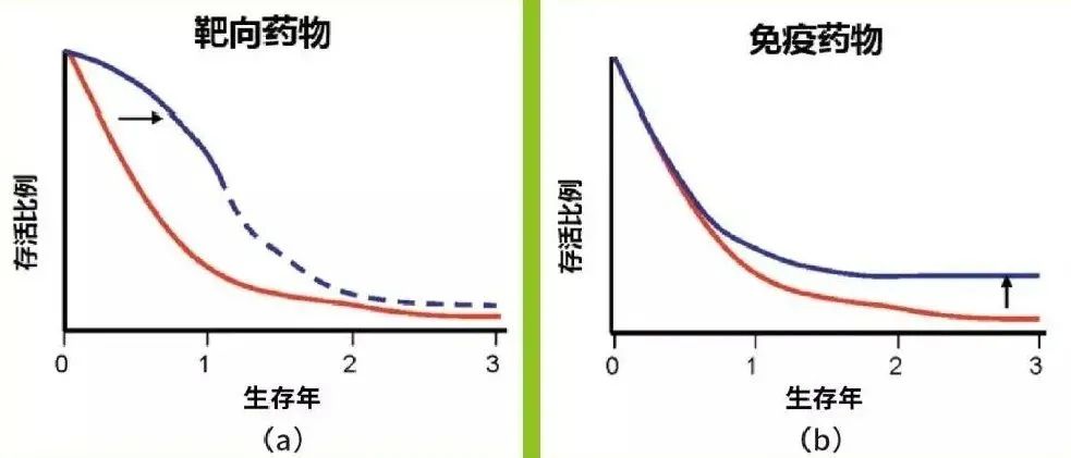 免疫治疗和靶向治疗哪个效果好