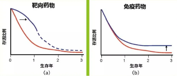 免疫治疗是化疗吗