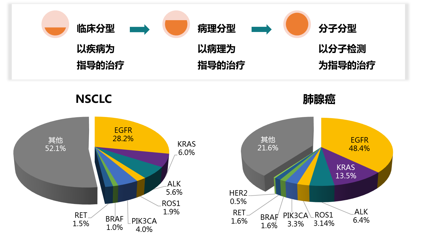肺癌基因突变是什么意思