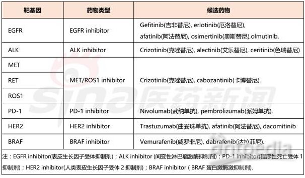肺癌基因检测配靶向药成功率
