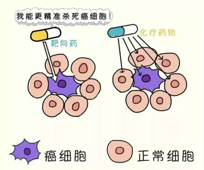 肺癌靶向治疗是什么意思