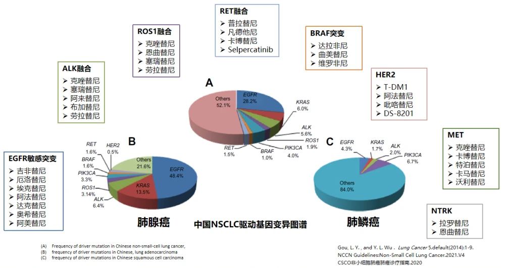 肺癌靶向治疗一般几个疗程