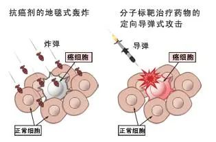 常见的肺癌基因突变靶点和对应的肺癌靶向药物有哪些