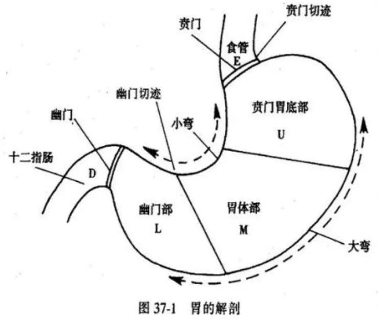 胃癌的手术治疗方式有哪些
