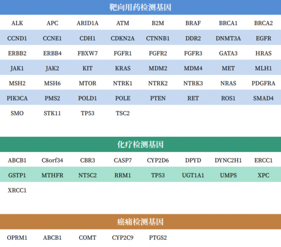 胃癌基因检测怎么做
