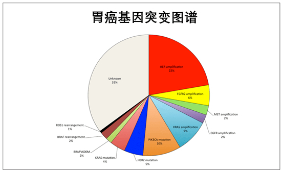 胃癌基因突变好还是不突变好