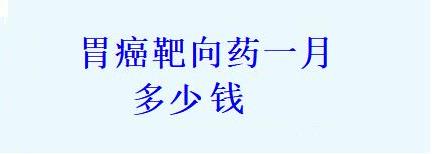 胃癌靶向药一月多少钱
